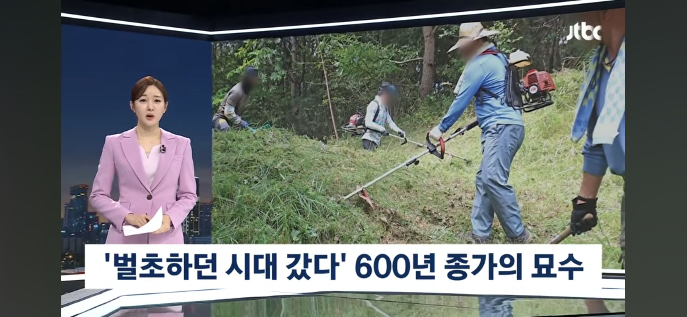벌초문화 사라지나
