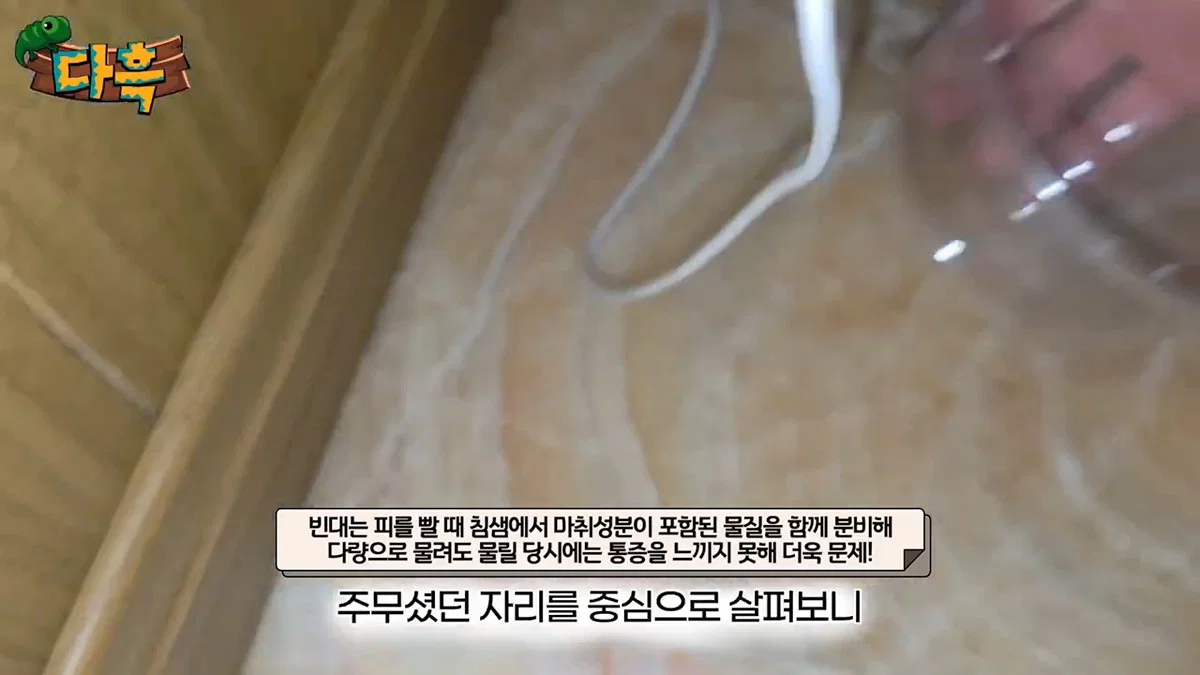 부산 찜질방 빈대 이슈 업로드한 유튜버 다흑... (31)