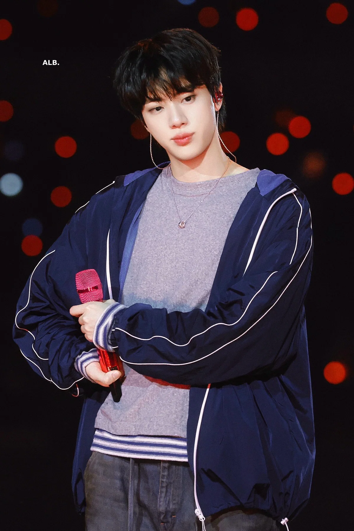 방탄소년단 진 LA 근황 (5)