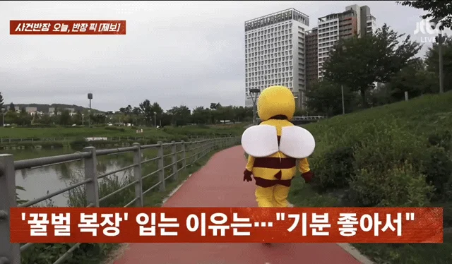 사건반장에 나온 꿀벌 복장 입는 이유 (20)