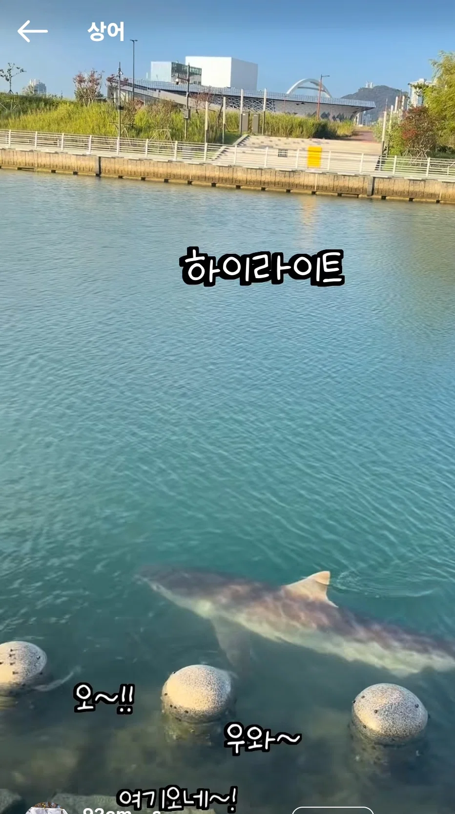 현 시각 부산에서 가장 핫한 곳이라는 부산항 (7)