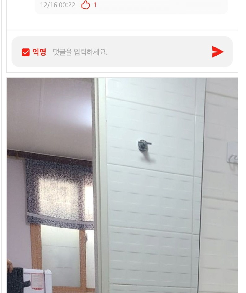 경북대학교 코난 등장 (3)