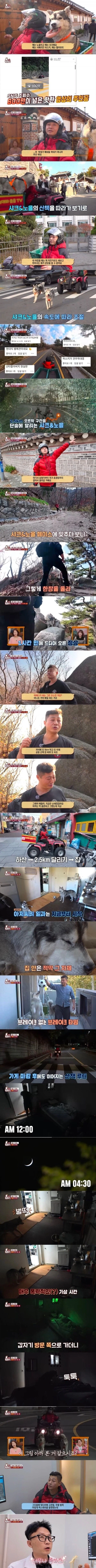 학대 논란이 있는 허스키 견주