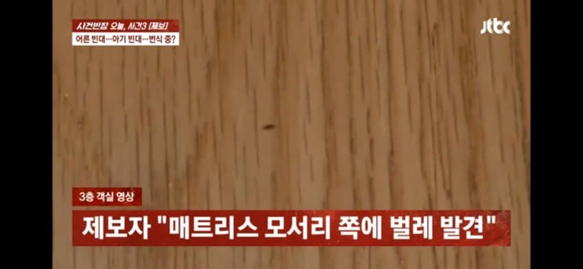 해운대 한 호텔에 빈대 출현…호텔은 "환불 불가" (10)