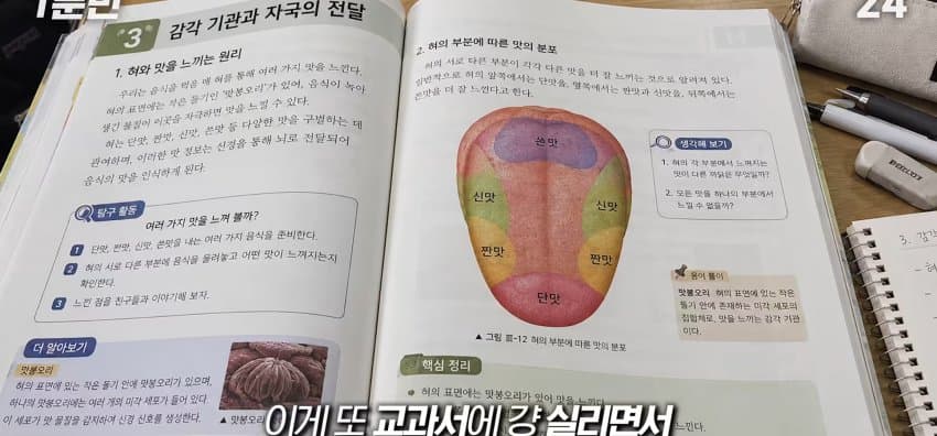 학교에서 배운 '혀 맛' 지도가 잘못됐다..? (24)
