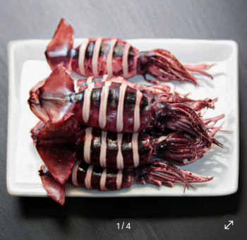 [기타] 통찜용 오징어 1kg (10,920원 / 무배)