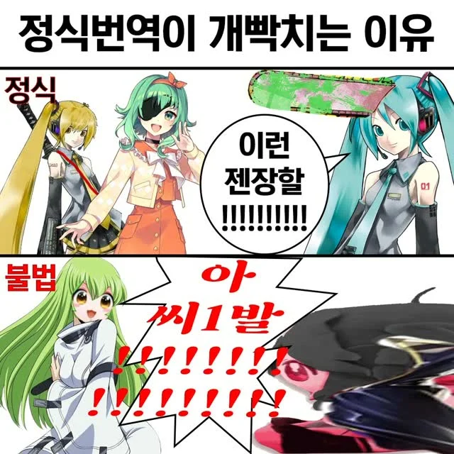 정식 번역과 불법 번역의 차이점
