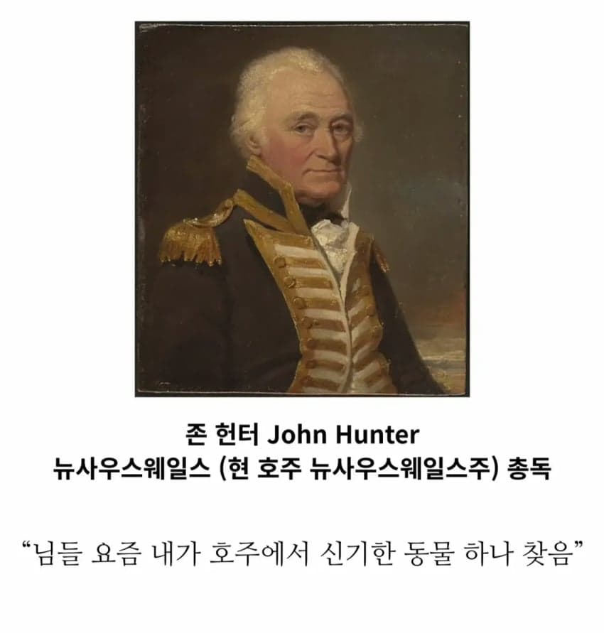 의외로 18세기에 발견된 기괴한 생명체
