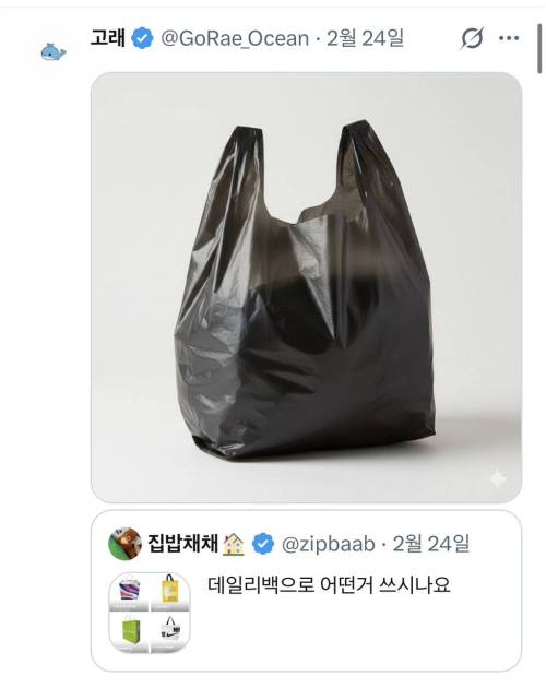 데일리백 추천
