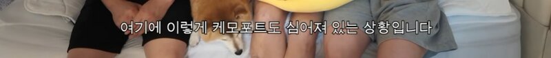 갑작스런 대장암 4기 진단.. (12)