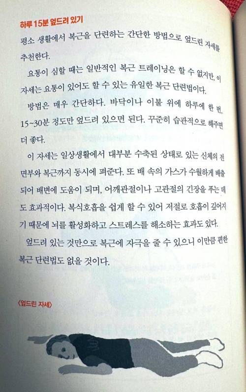 하루 15분 엎드려 있으면 복근운동됨
