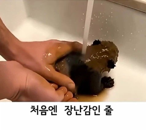 유튜브 쇼츠 AI 뇌절 대잔치 (3)