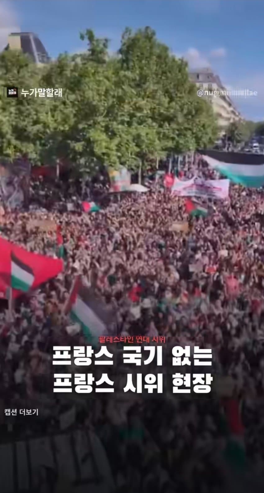 프랑스 상점가 약탈 현장 소름끼치는 사실 (6)