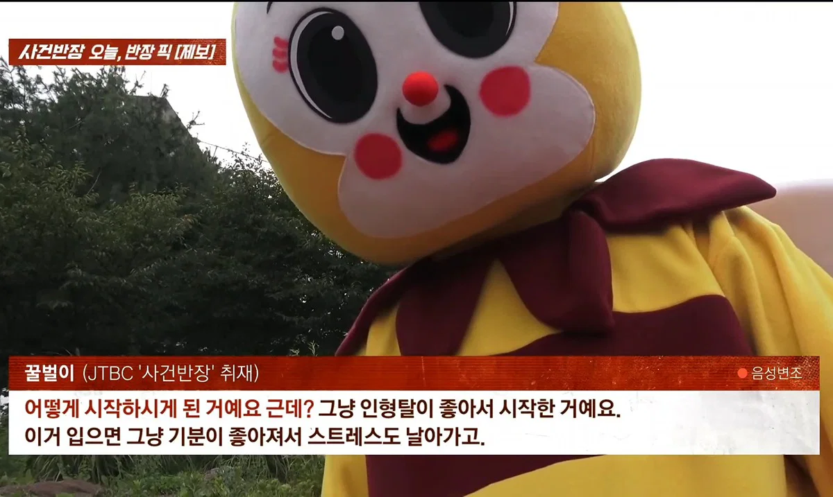 사건반장에 나온 꿀벌 복장 입는 이유 (10)