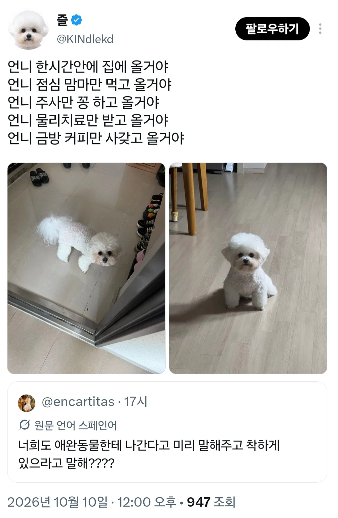 너희도 반려동물한테 나간다고 미리 말해주고 착하게 있으라고 말해???? (4)