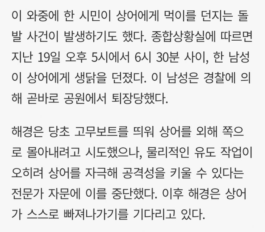 아재신 상어한테 생닭 던졌다 해경한테 잡혀갔다네요 (3)