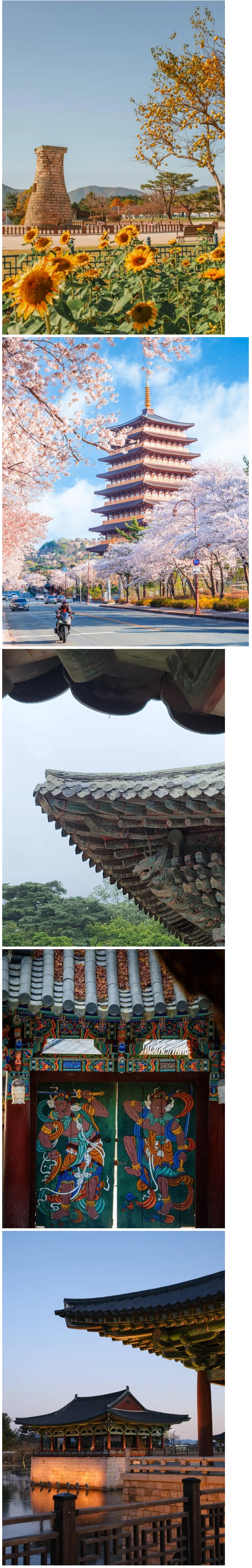 외국인들이 찍은 경주 사진