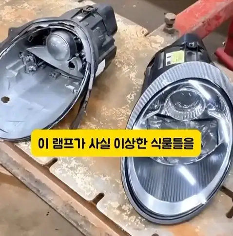 도둑들이 포르셰 눈알만 빼가는 이유