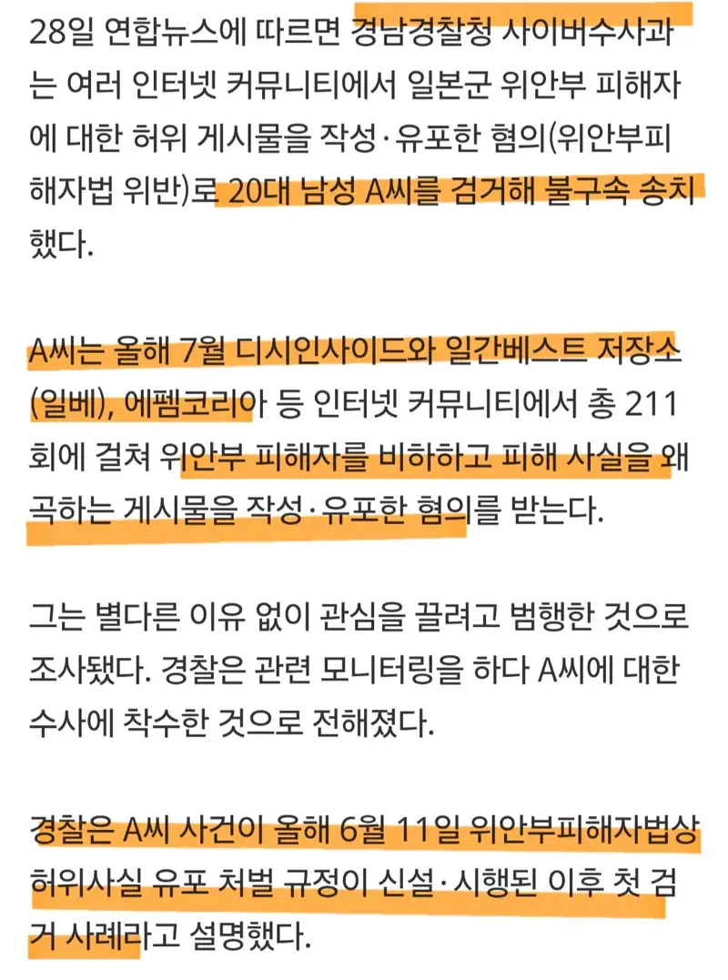 위안부 피해자 비하한 20대 남성 검거 (3)