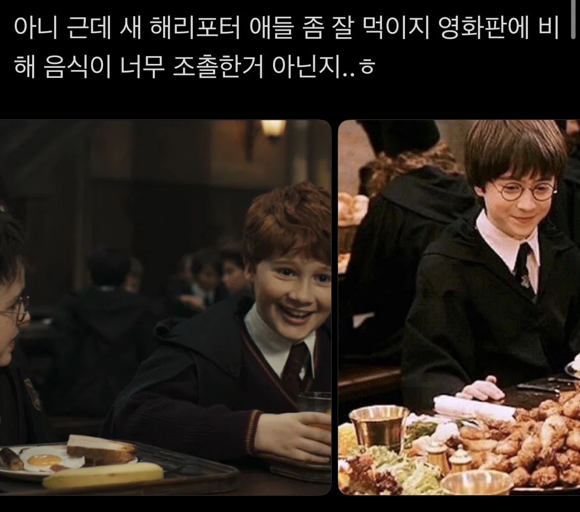 해리포터 드라마를 대하는 머글과 찐팬