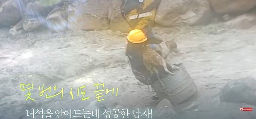 불어난 급류에 강아지 구하러 뛰어든 남자 (16)