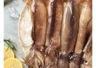 손질 통오징어 10미 1.1kg 외