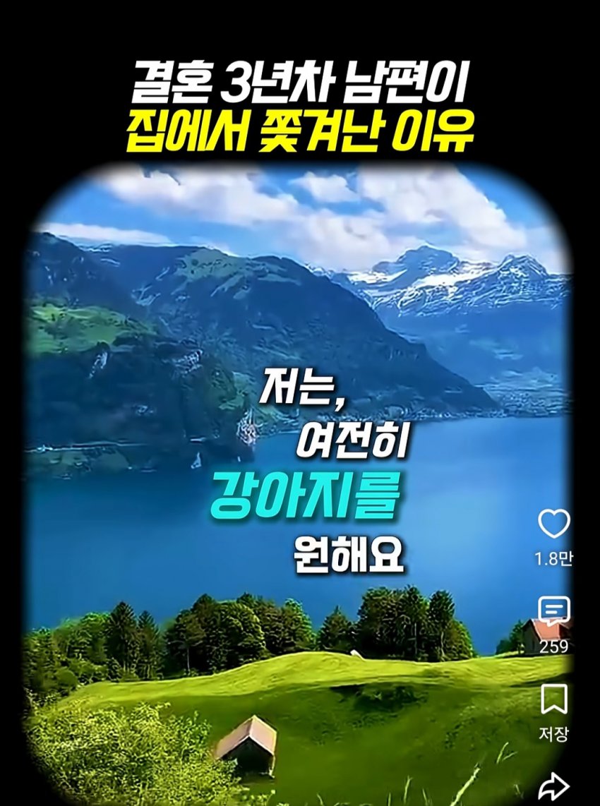 훌쩍훌쩍 부부의 반려동물 고르기촌 (7)