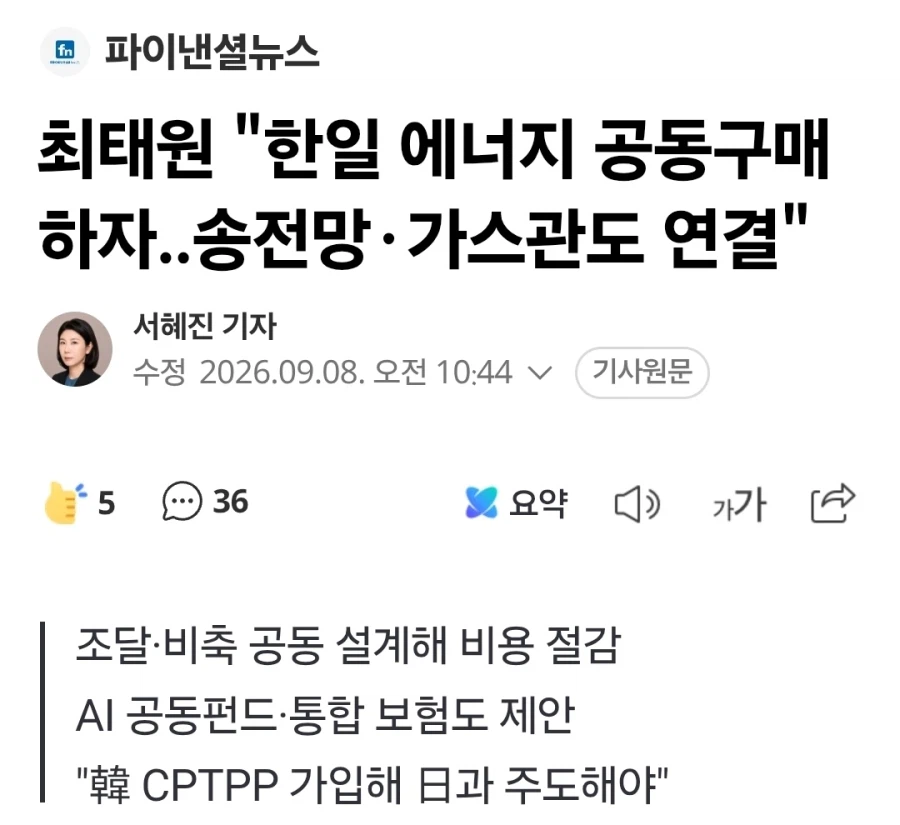최태원 "한일 에너지 공동구매하자..송전망·가스관도 연결"