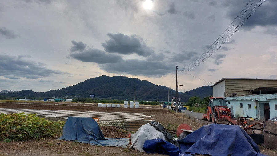 시골 살 때 ㄹㅇ 무시 못할 장점 (6)