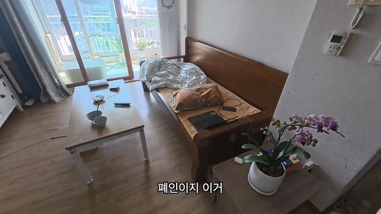 해외여행으로 가진돈 다 써버린 여행 유튜버 근황 (11)