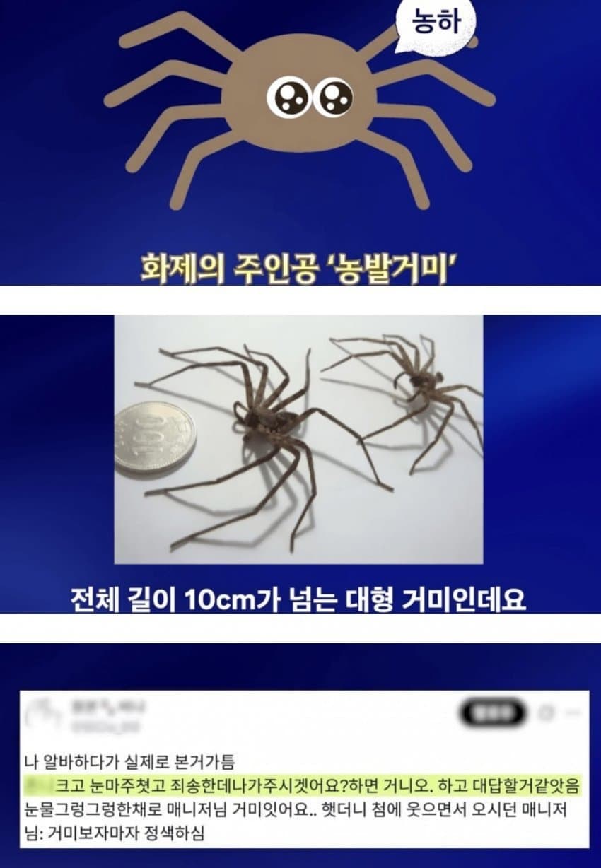 거미거미 징그럽고 큰데 이로운 거미