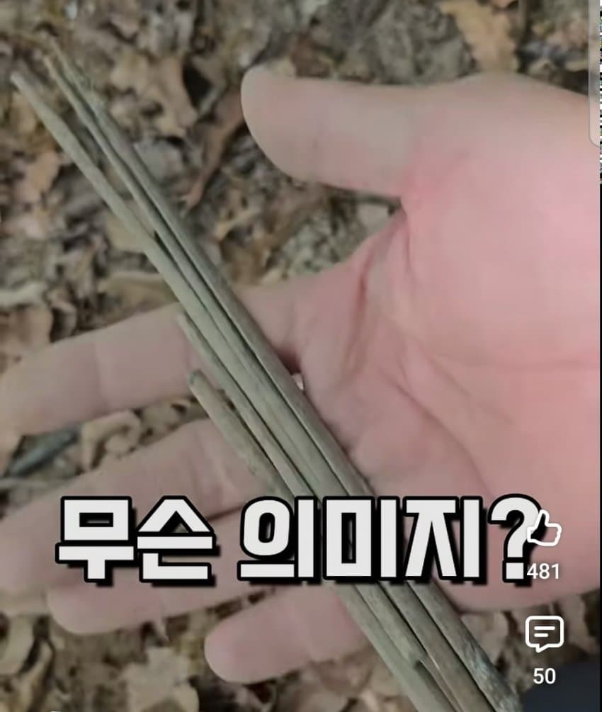 싱글벙글 금속탐지기 유튜버가 5년간 찾은거 (5)
