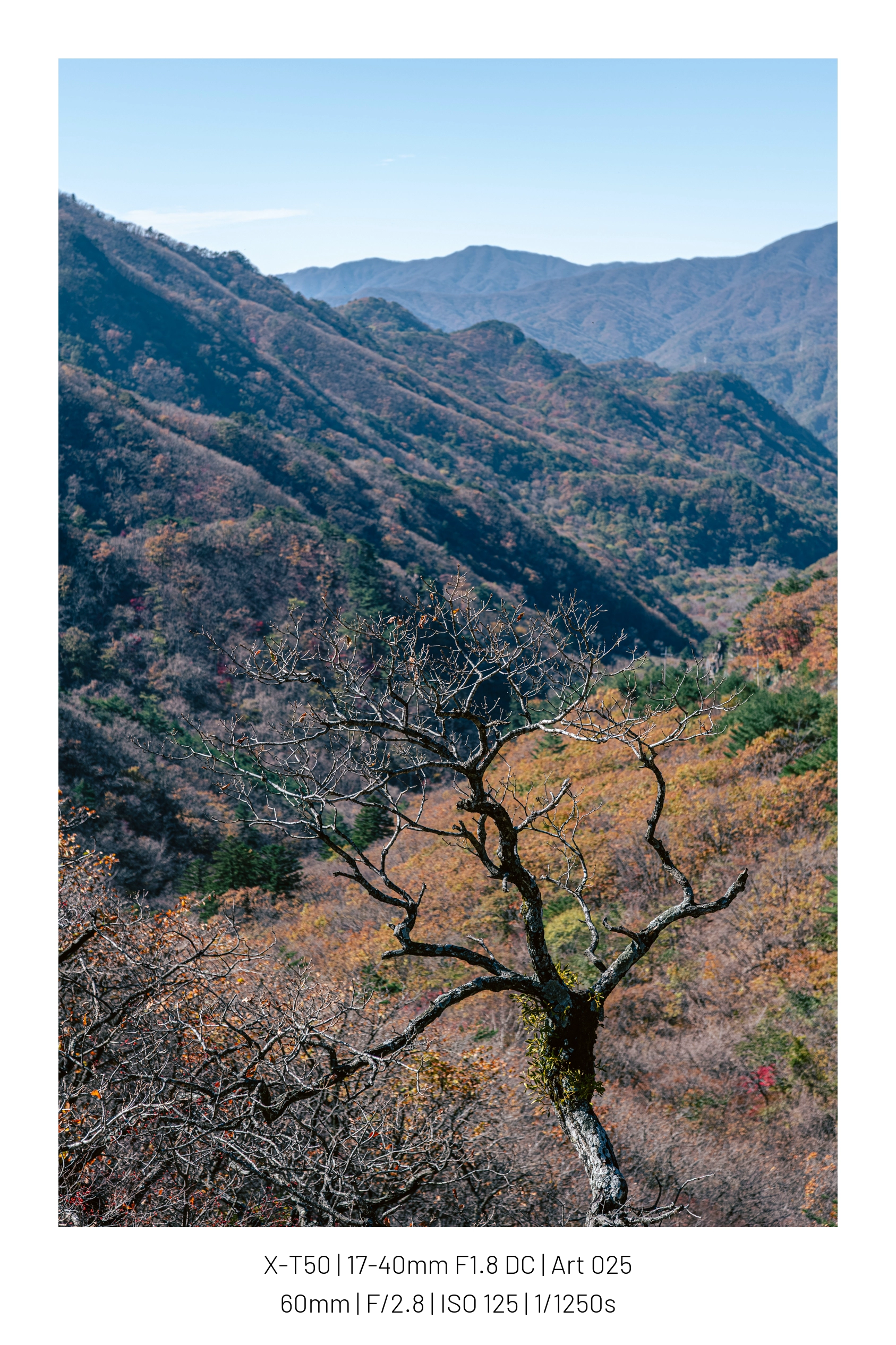 오늘 사진들 13장 (6)