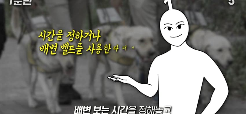 안내견은 목적지를 어떻게 아는 걸까? (33)