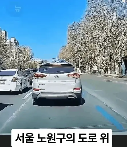 신호 기다리던 블박차가 갑자기 차선을 이탈한 이유