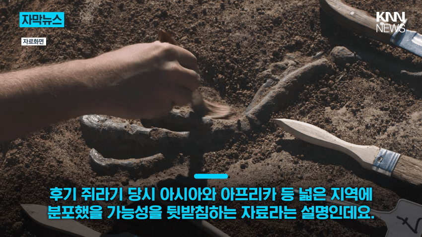 공사장에서 1억 년 전 초대형 공룡 발견 (17)