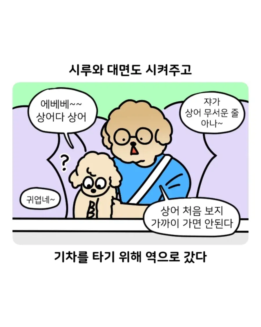 부캉이 보러 부산 갔다 부산 택시 경험한 썰