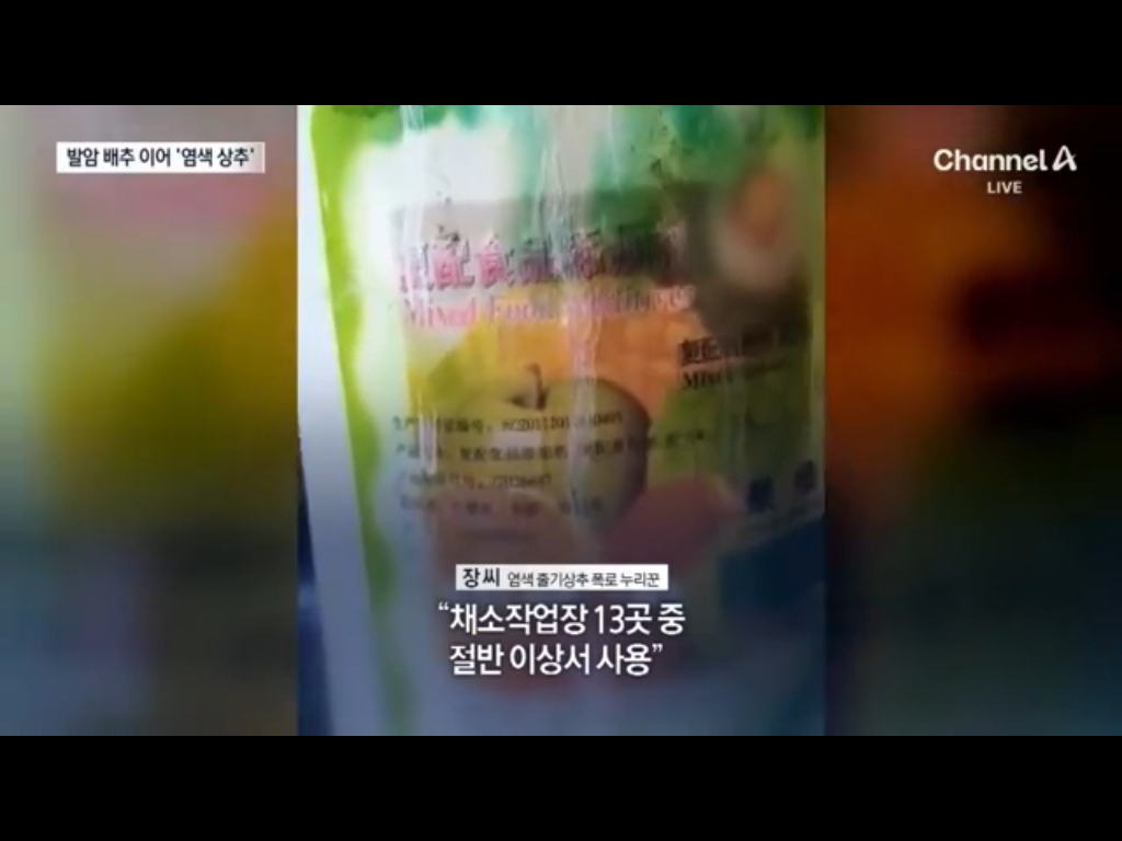 배추에 이어 염색상추 ㄷ ㄷ (3)