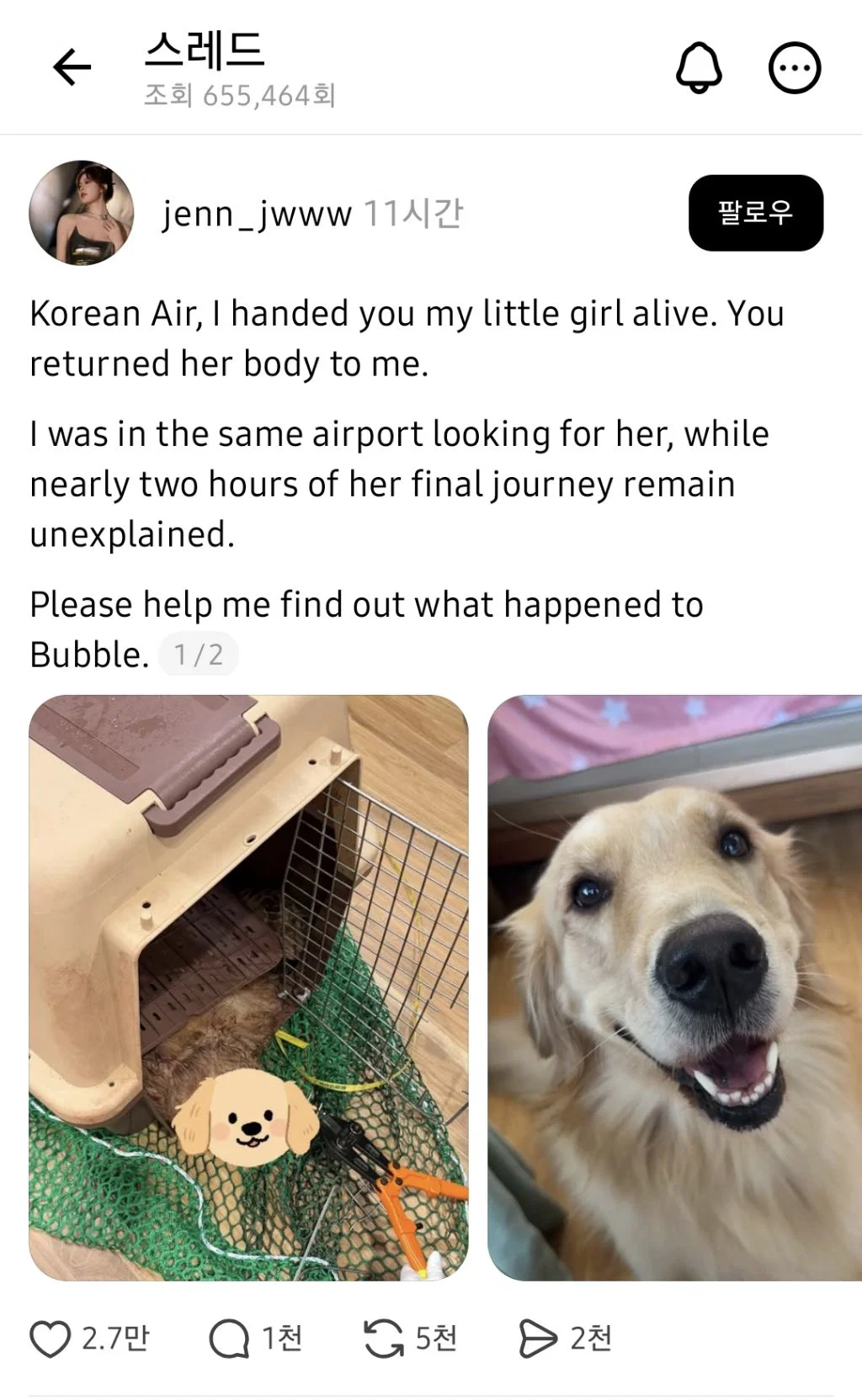 대한항공 화물칸에서 죽어서 돌아온 반려견