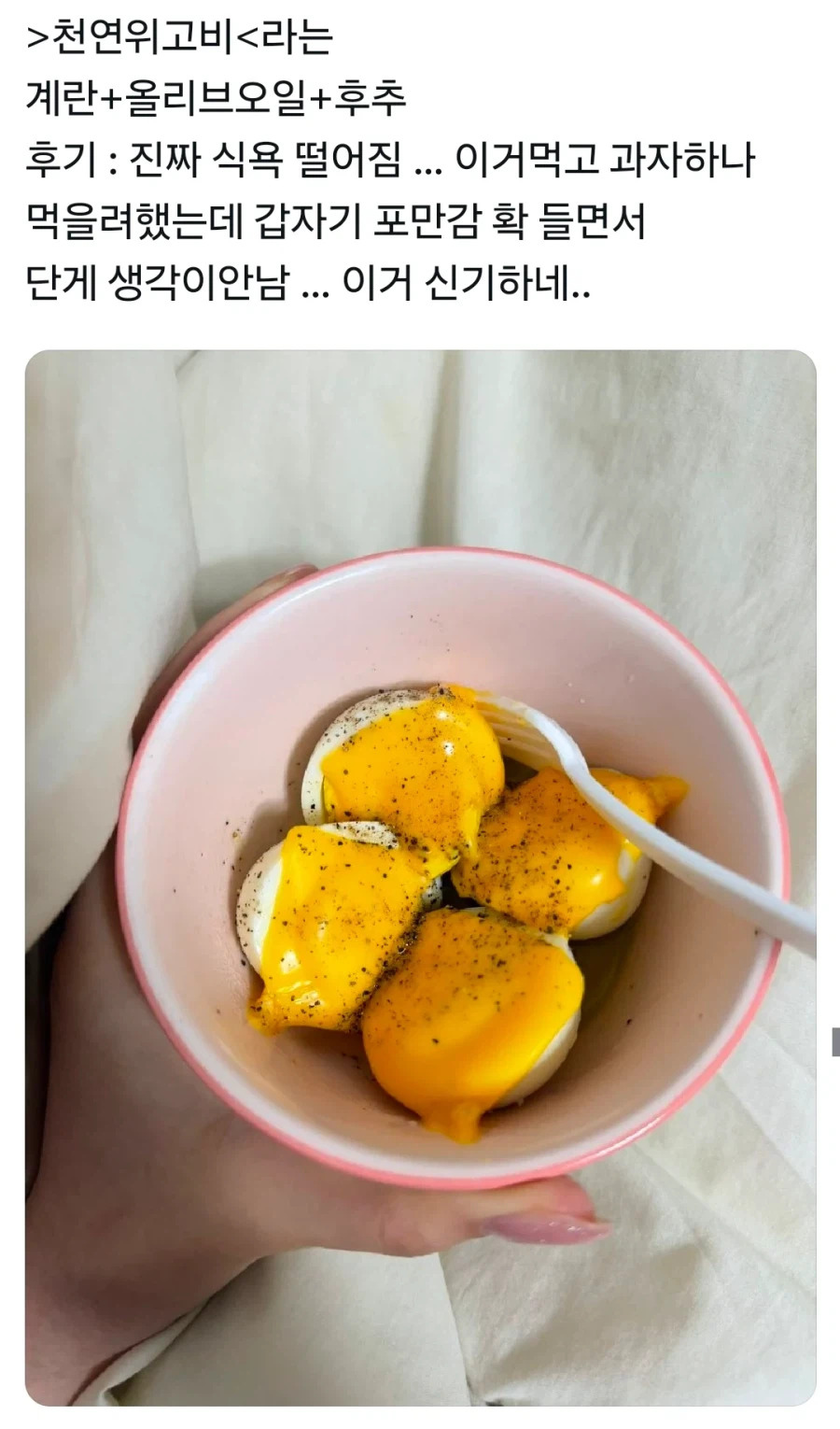 천연 위고비라는 식품 (5)