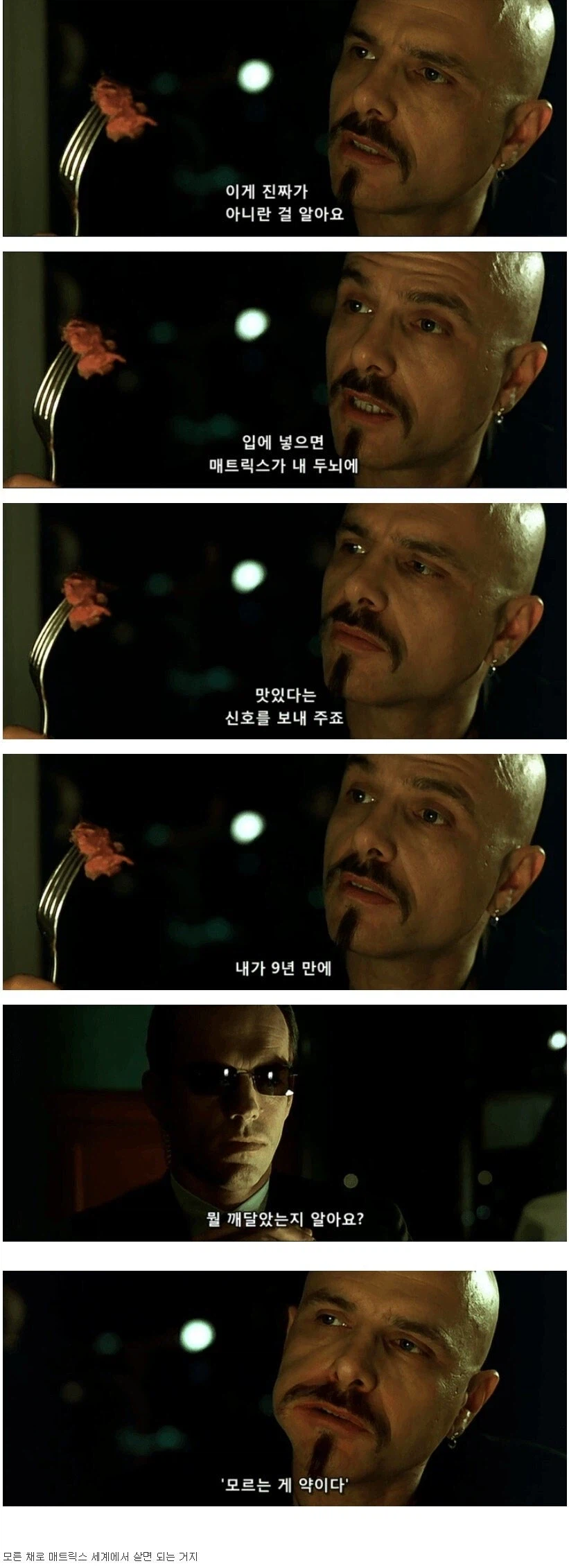 영화 매트릭스가 남긴 교훈