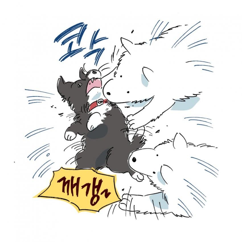 싱글벙글 개물림 사고 겪은 썰.manhwa (5)