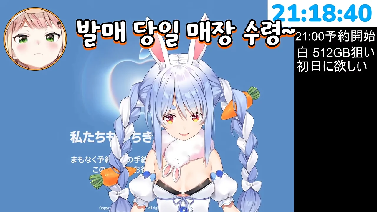 ㅆㄷ 버튜버) 현명한 선택이 돼버린 버튜버 (35)