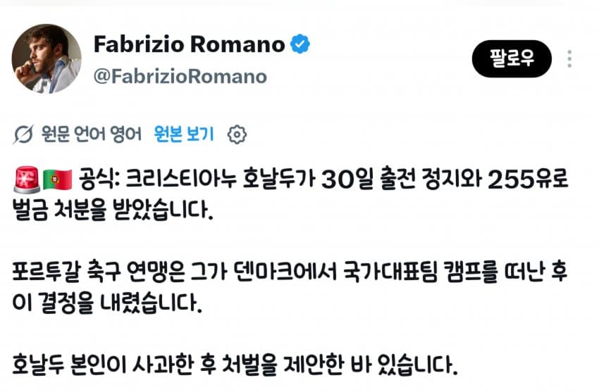 [오피셜] 호날두 국대 30일 출전 정지와 255유로 벌금 처분
