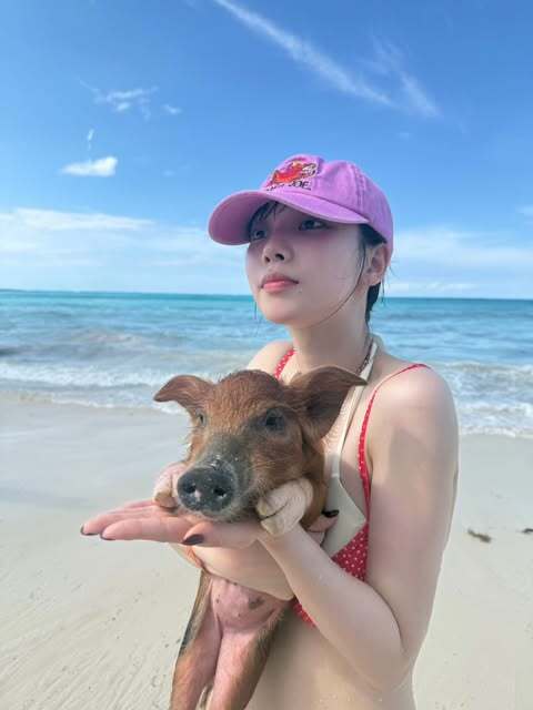 카리나 돼지새끼 (2)
