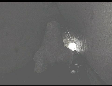 태풍의 엄청난 위력에 육지로 올라온 돌과 테트라포드 (11)
