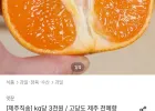[kg당 3,100원 꼴] 고당도 제주 천혜향 4.5kg 실중량