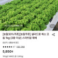 채소 모듬 1kg