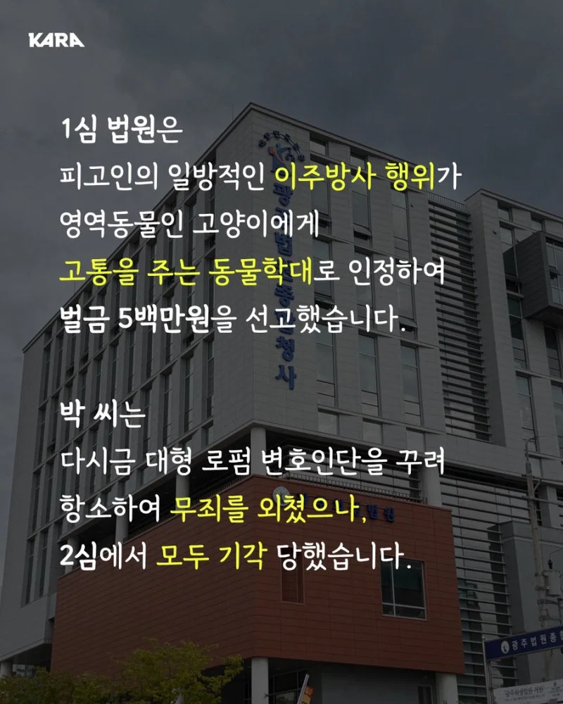 길고양이 갯벌에 무단 방사해서 익사시키고 캣맘 조롱한 남성 동물학대죄 인정 받음 (8)