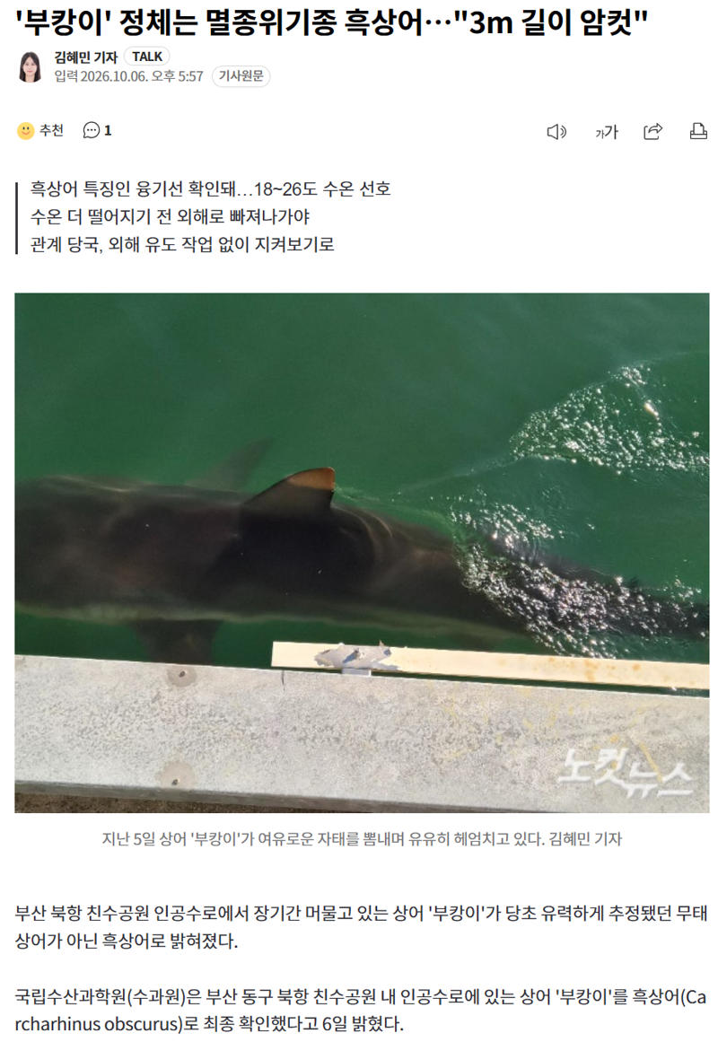부캉이 정체는 멸종위기종